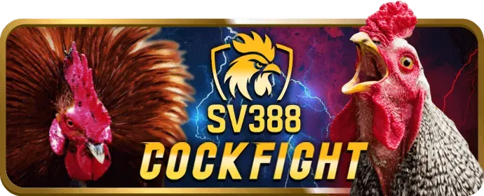 Ưu đãi đặc biệt cá cược thể thao Win96